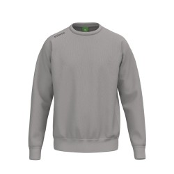 TS Sweatshirt taupe