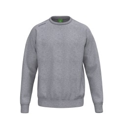 TS Sweatshirt grau melange