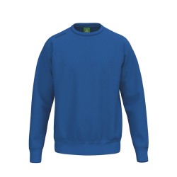TS Sweatshirt new royal