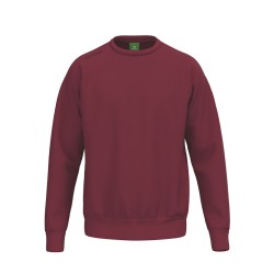 TS Sweatshirt new bordeaux