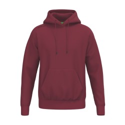 TS Hoody new bordeaux